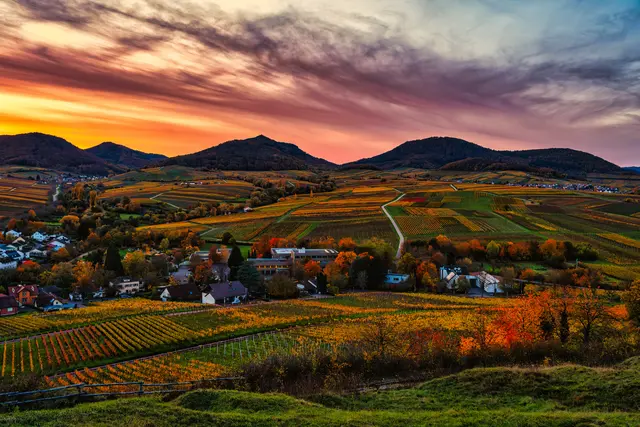 Bild 15: Sonnenuntergang auf der kleinen Kalmit mit bunten Herbstfarben | Foto: Ralph Beetz