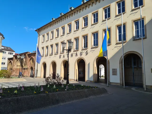 Im Frankenthaler Rathaus ist bis Ende Dezember eine Wanderausstellung zum Thema Frieden zu sehen. | Foto: Gisela Böhmer 