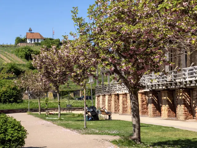 Bild 12: „Wohlfühlort“
Das Bild wurde in Bad Dürkheim aufgenommen und zeigt die Saline und die Kapelle eingebettet in die blühende Landschaft. | Foto: Alexander Meier