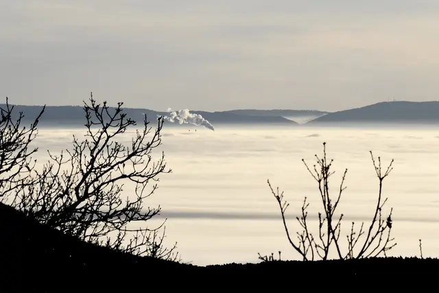 Bild 3: Blick vom Rahnfels (Frankenthaler Hütte) auf die Rheinebene. | Foto: Kathrin Volz-Wollbold