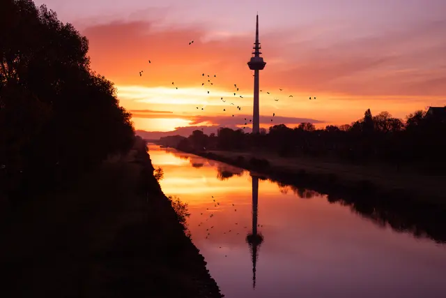 Bild 23: morgendlicher Blick auf den Fernsehturm, Mannheim | Foto: Erik Patzschewitz