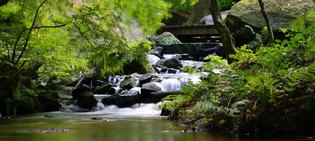 Bild 10: Wasserlauf Karlstalschlucht | Foto: Kirsten Löffler