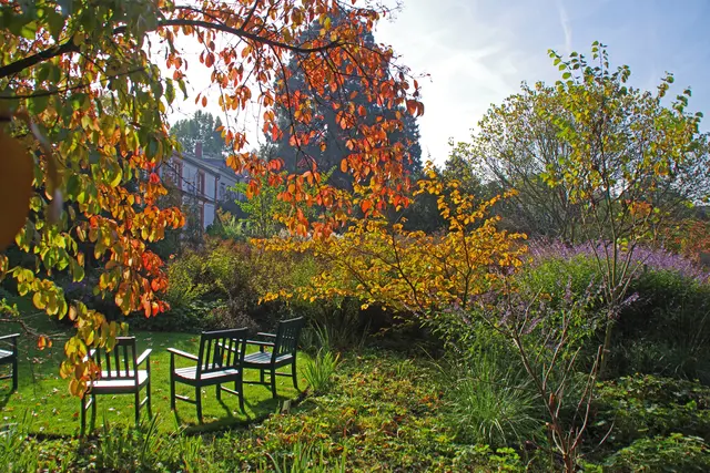 Bild 2: Herbst im Weinheimer Hermannshof | Foto: Hans-Jürgen Freudenberger