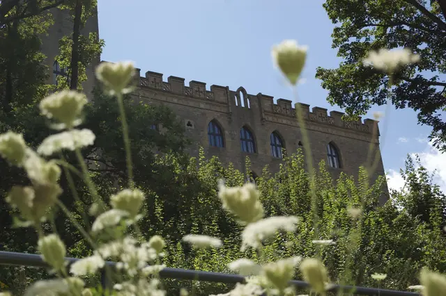 Bild 18: Seitenschiff des Hambacher Schlosses durch Blumen fotografiert. | Foto: Diana Vogelmann