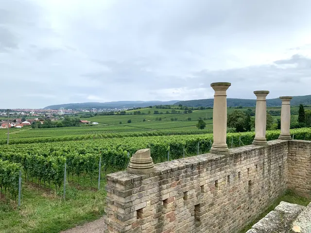 Bild 9: Blick auf Bad Dürkheim von den Römerkelter Ungstein | Foto: Tamara Stilgenbauer