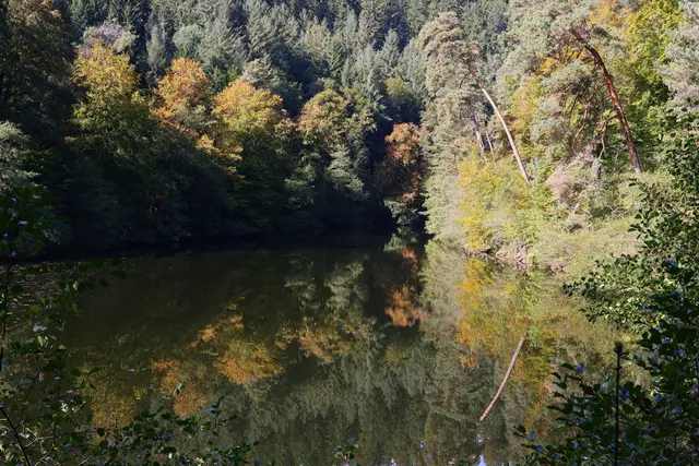Bild 6: Isenachweiher bei Bad Dürkheim | Foto: Kirsten Löffler