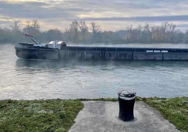 Bild 17: Morgenstimmung am Rhein | Foto: Pamela Loesel