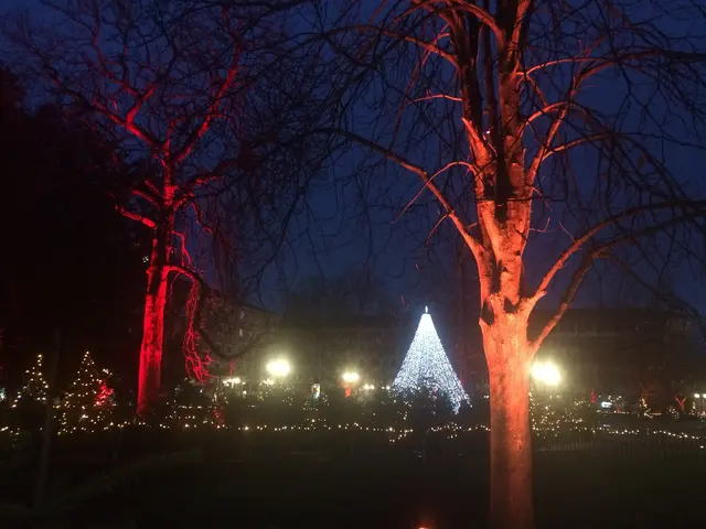 Bild 6: Heiligabend Friedrichsplatz Karlsruhe | Foto: Birgit Kaul