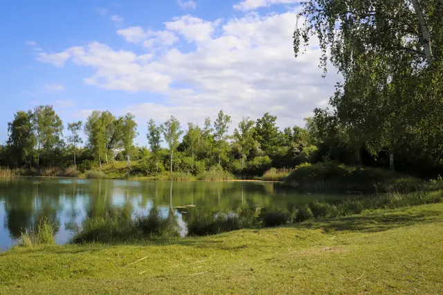 Bild 14: Weiher im Naturschutzgebiet "Erdekaut" | Foto: Maya Tannouri