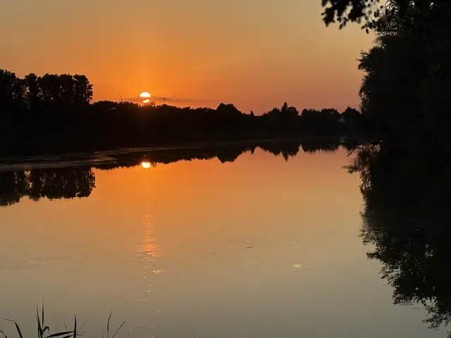 Bild 22: „Abendstimmung“
Diesen stimmungsvollen Sonnenuntergang hielt ich bei einem Spaziergang am Altrhein in Bobenheim-Roxheim fest. | Foto: Alexander Meier