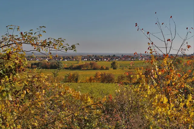 Bild 19: Herbstlicher Blick auf Wachheim | Foto: Tamara Stilgenbauer