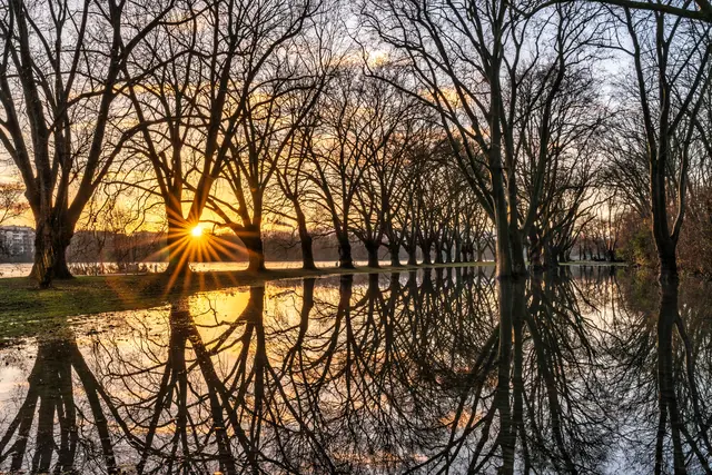 Bild 13: Sonnenaufgang auf der überschwemmten Parkinsel in Ludwigshafen | Foto: Ralph Beetz