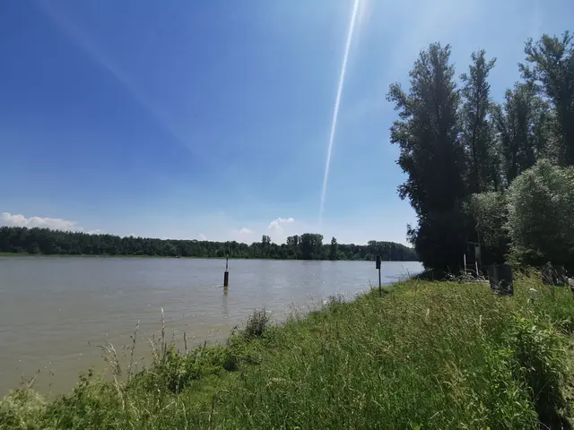 Am Rhein bei Leimersheim | Foto: Heike Schwitalla