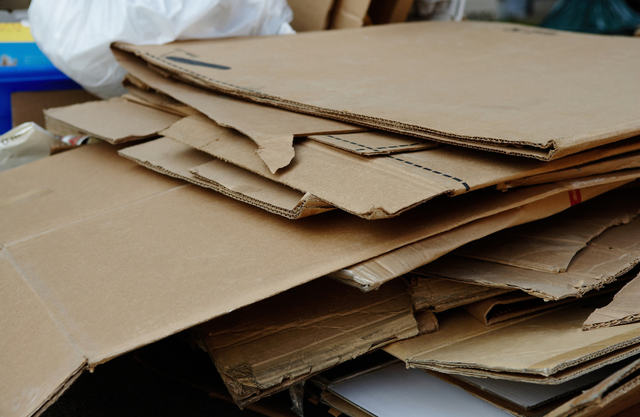Nachhaltiges Papier in Verwaltung und Schulen bringt Pirmasens bundesweit auf Rang vier. | Foto: Stadt Pirmasens