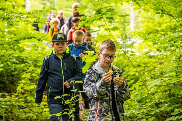 Kinder entdecken am Haus der Nachhaltigkeit den Wald und lernen spielerisch vieles über Jagd und Wildtiere  | Foto: Landesforsten.RLP.de/ J. Fieber/gratis