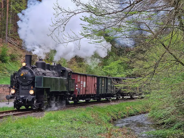 Mit dem historischen Kuckucksbähnel geht es am Sonntag durch das herbstliche Elmsteiner Tal. | Foto: Christian Schädler