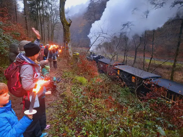 Das Kuckucksbähnel fährt an sieben Terminen zum Nikolaus ins Elmsteiner Tal. Erstmals gibt es zusätzlich eine Winterfahrt zum Weihnachtsmarkt. | Foto: Jürgen Lemke/Eisenbahnmuseum der Pfalz