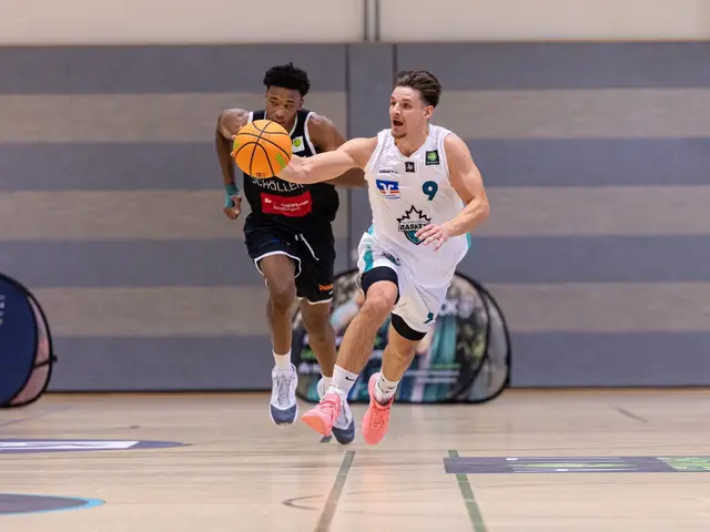 Die Ahorn Camp Baskets empfangen am Samstag, 10. Oktober, die Dresden Titans in der Nordhalle. | Foto: Ahorn Camp Baskets
