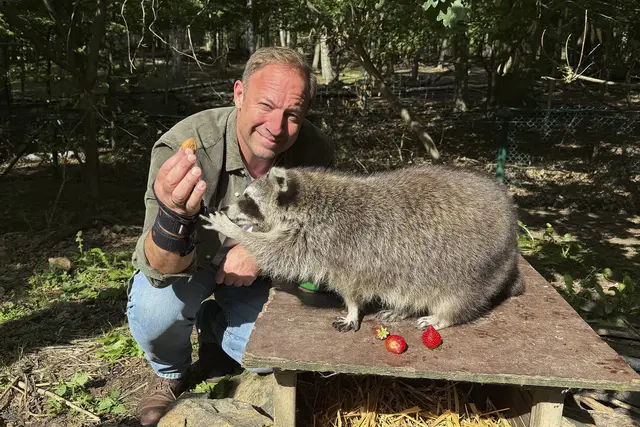 Tobis Urlaubstrip: Naturpark Knüll verbindet Naturerlebnisse, regionale Küche und ungewöhnliche Aktivitäten im jüngsten Naturpark Hessens. | Foto: HR Hessischer Rundfunk