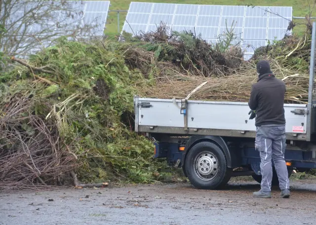 Im Kreis Germersheim startet wieder die kostenlose Straßensammlung für gebündelte Heckenabfälle. | Foto: KreisGER / mda