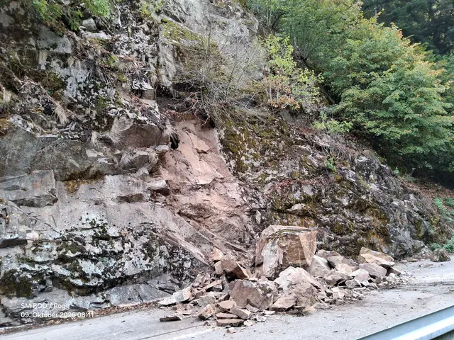 Die L 157 zwischen Witznau und Riedersteg bleibt aus Sicherheitsgründen bis auf Weiteres gesperrt. (Handoutbild) | Foto: ---/Landratsamt Waldshut/dpa