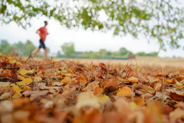 Regen vorhergesagt - Wann kann man raus, ohne nass zu werden? | Foto: Uwe Anspach/dpa