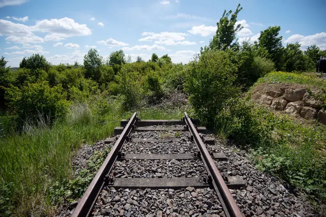 Zwischen 1960 und den 1990er Jahren wurden mehr als 1.500 Kilometer Schienenstrecken stillgelegt. (Archivbild) | Foto: Marijan Murat/dpa