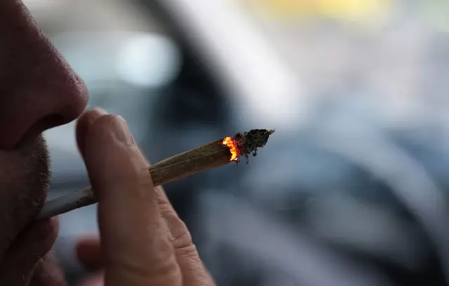 Fahrten unter Cannabis können gefährlich sein. (Symbolbild) | Foto: Marcus Brandt/dpa