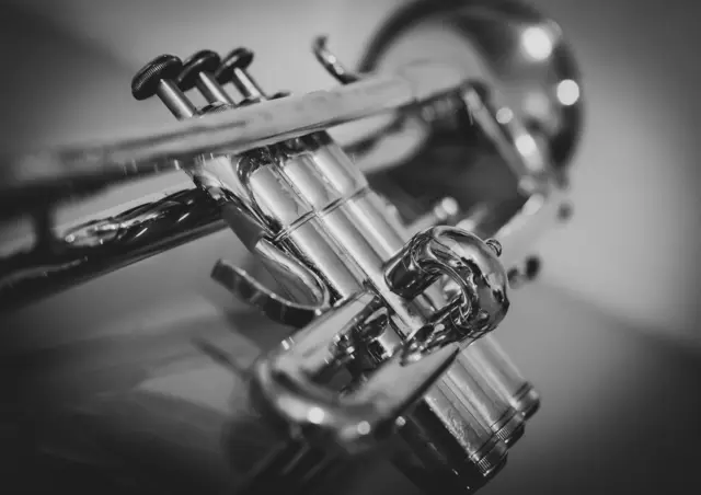 Das Publikum erwartet ein familienfreundliches Blechbläserkonzert im Johannes-Brahms-Saal. / Symbolbild Trompete | Foto: Tobias/stockadobe.com