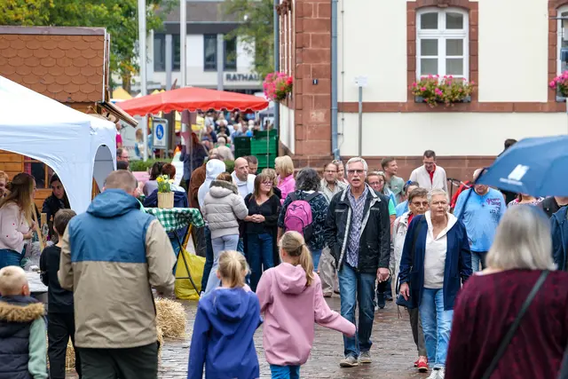 Foto: Erik Stegner
