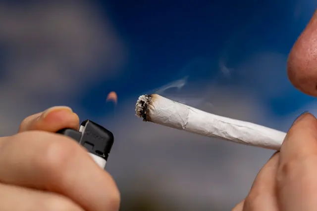 Ein 30-jähriger Autofahrer fiel auf der A65 bei Edesheim durch unsichere Fahrweise auf. Ein Cannabis-Test war positiv, die Polizei untersagte die Weiterfahrt und leitete ein Strafverfahren ein. | Foto: Bernd/stock.adobe.com
