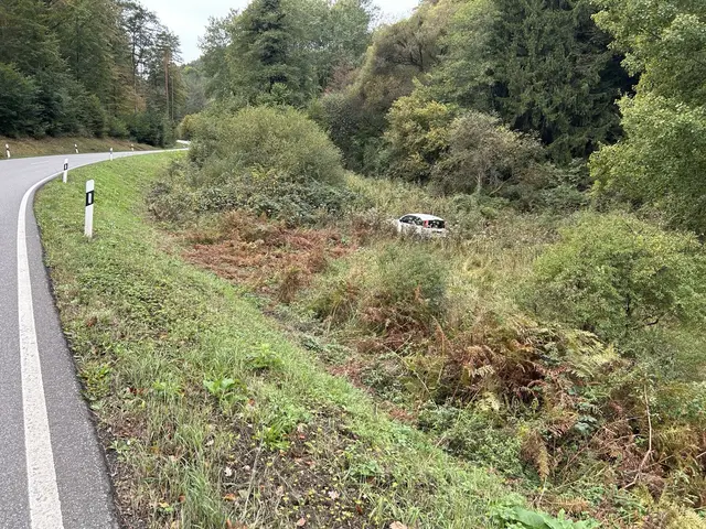 Ein 84-Jähriger kam nach Sekundenschlaf auf der L493 zwischen Silz und Vorderweidenthal von der Straße ab. Sein Pkw landete in einer Böschung und musste abgeschleppt werden. | Foto: Polizeidirektion Landau