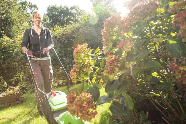 Keine Lust, selbst im Garten tätig zu werden? Wenn Sie einen Minijobber als Gartenhilfe einsetzen, kann das für beide vorteilhaft sein. | Foto: Christin Klose/dpa-mag