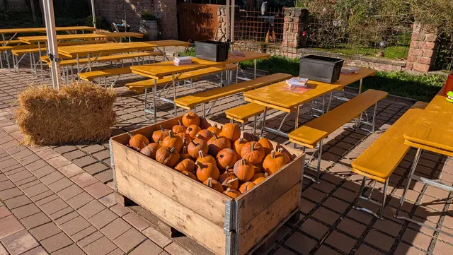 Kürbisschnitzen für Kinder: Rund 100 Kürbisse stehen beim Herbstmarkt in Weilerbach für die kleinen Besucher bereit. Dazu gibt es Kinderschminken, Glitzertattoos und eine Hüpfburg | Foto: Frederic Frohnhöfer/gratis