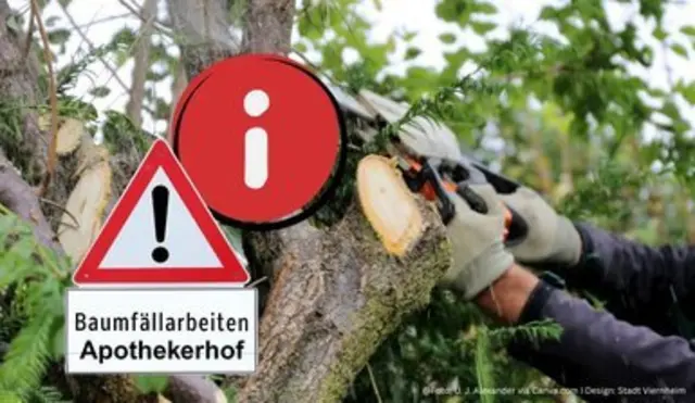 Symbolbild | Foto: U. J. Alexander via Canva.com I Design: Stadt Viernheim