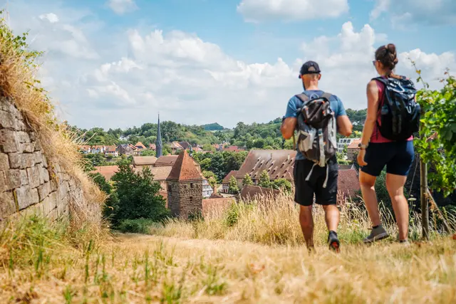  Historische Spuren, weite Ausblicke und jede Menge Wanderglück: Der Eppinger-Linien-Weg zeigt das Land der 1000 Hügel von seiner schönsten Seite. | Foto: saddlestories.at
