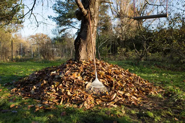 Winterquartier aus Laub: Unter einem großen Laubhaufen finden Kleintiere Schutz vor Kälte und Frost. | Foto: Florian Schuh/dpa-mag