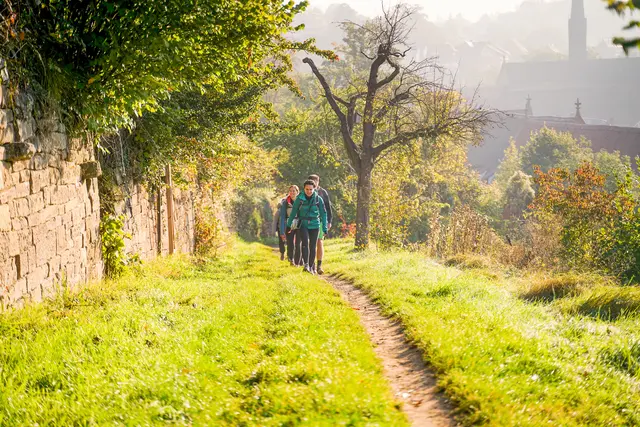  42 Kilometer Wanderglück: Der Eppinger-Linien-Wandermarathon führt durch die herbstliche Hügellandschaft von Eppingen nach Mühlacker.  | Foto: Kraichgau-Stromberg Tourismus e.V. | Konrad Plank