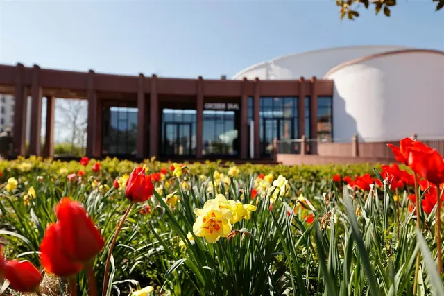 Im Workshop können Bürgerinnen und Bürger Ideen für den Klimaschutz in Frankenthal einbringen. | Foto: Stadt Frankenthal