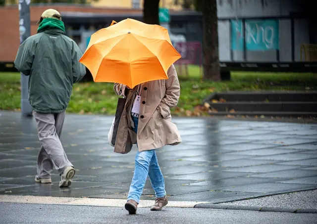 Den Regenschirm besser nicht vergessen: Er bleibt am Wochenende wichtiger Begleiter. (Symbolbild) | Foto: Laszlo Pinter/dpa