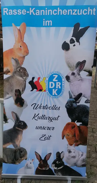Foto: Stefan Stahl