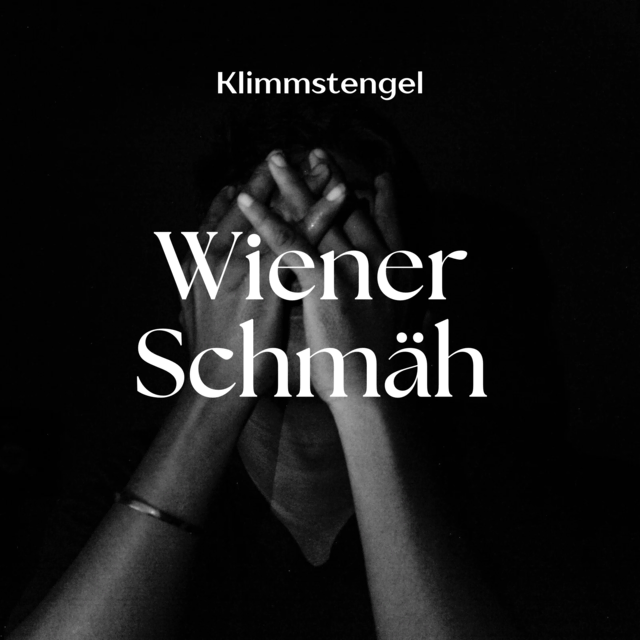 Die EDM Klimmstengel ist eine der ganz großen Neu Entdeckungen des Jahres in der Electro Szene. Gerade ihr Wiener Humor kommt dabei sehr gut an. Allerdings nicht bei allen. Das stört die Band aber nicht im Geringsten.  | Foto: Klimmstengel