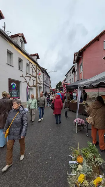 Erstmals wurde die Hauptstraße zwischen der Sparkasse und der Ampelkreuzung für den Verkehr gesperrt. Die Aussteller präsentierten sich dort, während die Besucher sicher über das Marktgelände flanieren konnten. | Foto: Gewerbeverein Weilerbach/gratis