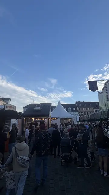 Impressionen vom Fest des Federweißen 2026 auf dem Landauer Rathausplatz. | Foto: Annina Ksionsek