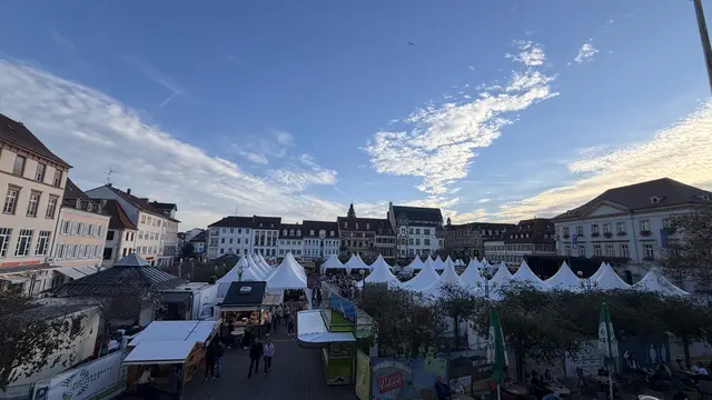 Impressionen vom Fest des Federweißen 2026 auf dem Landauer Rathausplatz. | Foto: Annina Ksionsek