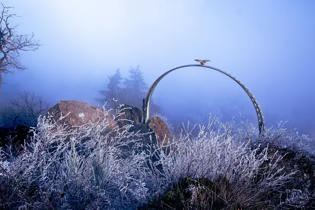 Das Gewinnerfoto im Dezember zeigt Nebelwand und Frost am Adlerbogen und stammt von Florian Bauer. | Foto: Florian Bauer Fotografie