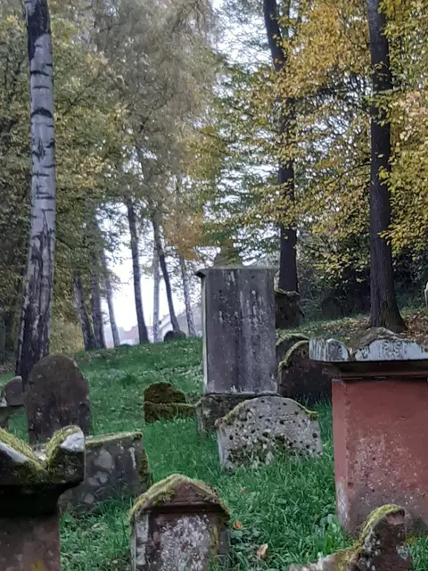 Armin Klein führt am 22. November über den jüdischen Friedhof in Annweiler am Trifels. | Foto: Kerstin Reddig
