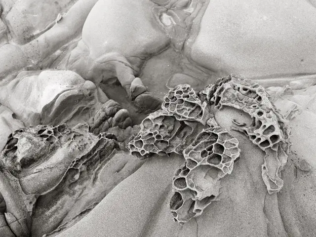Landschaften, geologische Strukturen und abstrakte Bildwelten: Jörg Heiecks fotografische Arbeiten sind in der Fruchthalle Kaiserslautern zu sehen. Am 31. Oktober wird der mit dem Kulturpreises ausgezeichnet. | Foto: Heieck/gratis