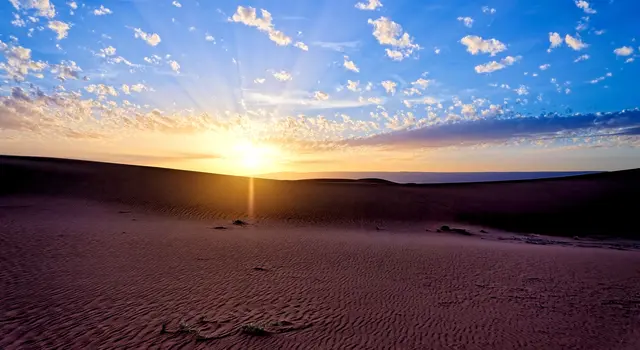 Sahara | Foto: Gernot Haida