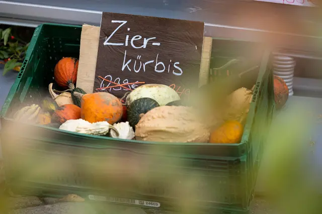 Hübsch anzusehen, aber nichts für den Teller: Zierkürbisse können giftige Bitterstoffe enthalten. | Foto: Friso Gentsch/dpa/dpa-mag